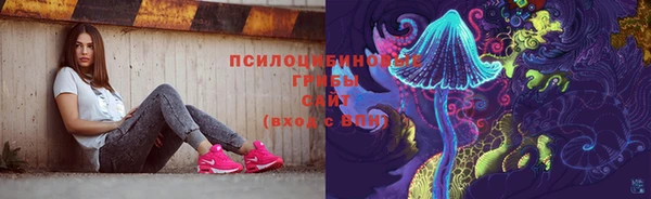 apvp Лагань