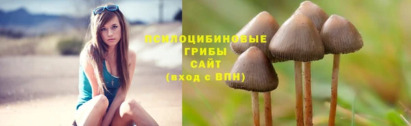 кокаин колумбия Лиски