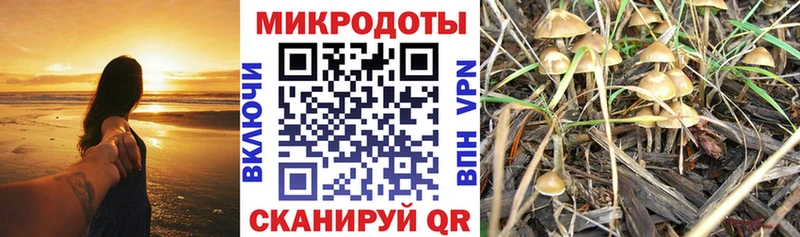 как найти закладки  Иваново  Галлюциногенные грибы прущие грибы 